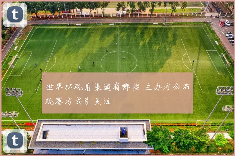 世界杯观看渠道有哪些 主办方公布观赛方式引关注