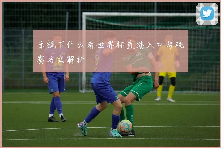 乐视下什么看世界杯直播入口与观赛方式解析