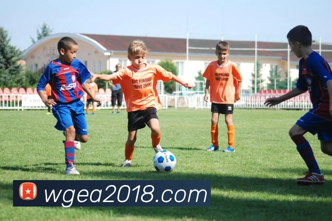 易倍emc官方发展历程