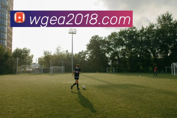 匈牙利队2022世界杯小组出局战术表现复盘对欧洲预选前景影响